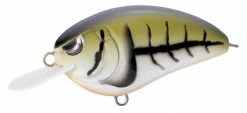 Spro Little John Type-R Shallow Diving (0-7ft.)
