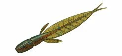 Evergreen International C-4 Leech Dropshot Baits