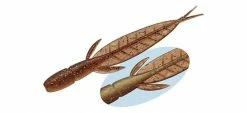 Evergreen International C-4 Leech Dropshot Baits