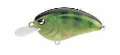 Spro Shallow Diving (0-7ft.) Little John