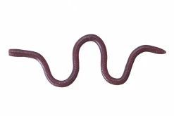 OSP Dropshot Baits MMZ