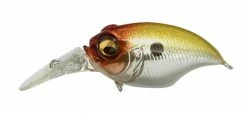 Megabass MR-X Griffon