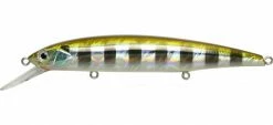BassDay Mogul Minnow 130SP