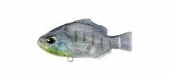 Duo Realis Deka Nomase Gill Lipless