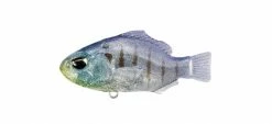 Duo Realis Deka Nomase Gill Lipless