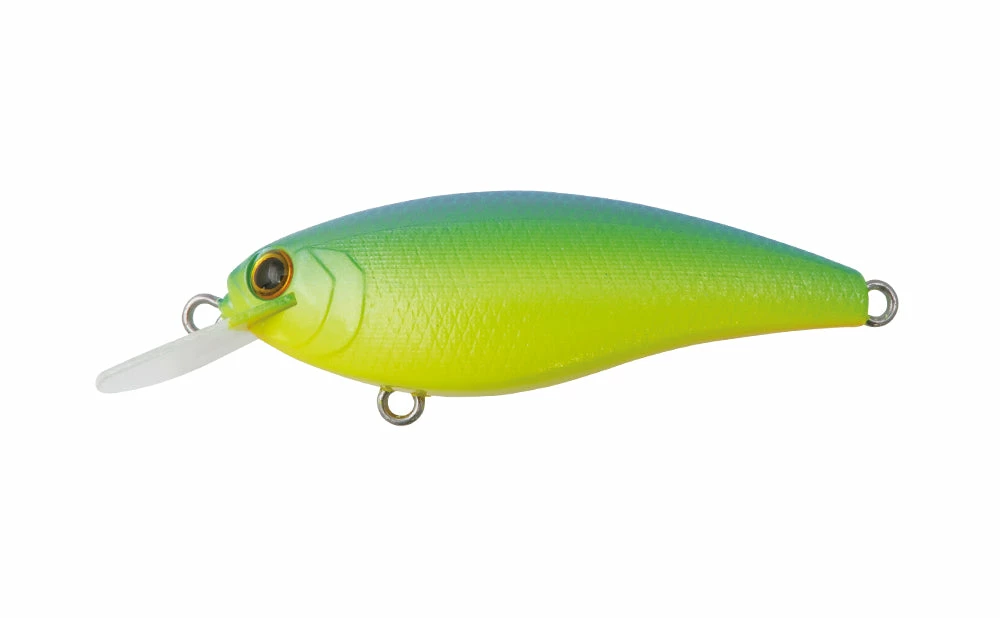 Bottom Up Shallow Diving (0-7ft.) Reazzy Appeal Plus