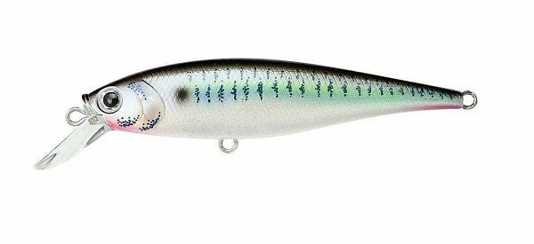 Lucky Craft Pointer 78SP Jerkbaits