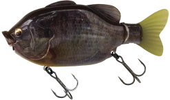 Imakatsu Kominami Gill Pop Hard Body