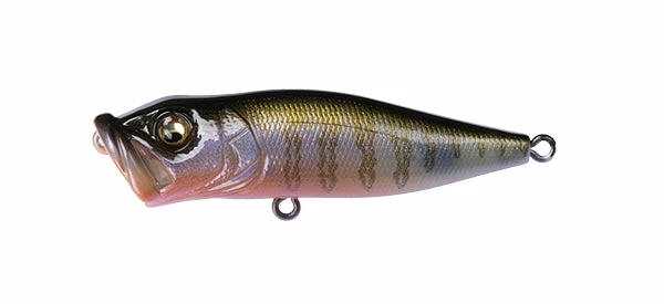 Megabass Pop-X