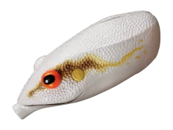 Smith LTD. Potofu Frog