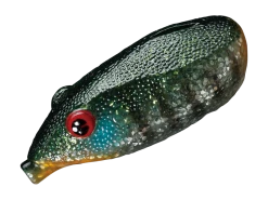 Smith LTD. Potofu Frog