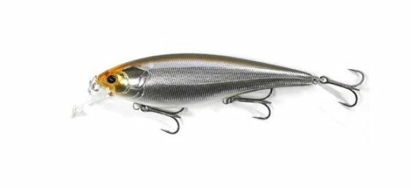 ISM Shallow Diving (0-7ft.) Risen 110F