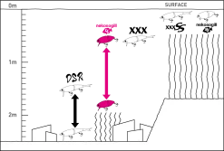 Phat Lab Hard Body Nekosogi Gill