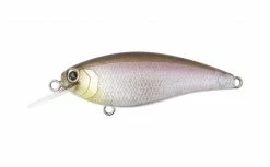 Bottom Up Reazzy Shallow Diving (0-7ft.)