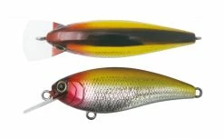 Bottom Up Reazzy Shallow Diving (0-7ft.)