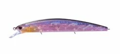OSP Rudra 130SP Jerkbaits