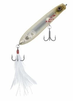 Evergreen USA SB 77.7 Walking