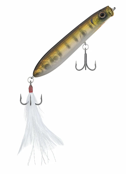 Evergreen USA SB 77.7 Walking