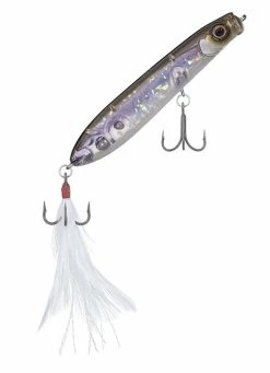 Evergreen USA SB 77.7 Walking