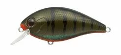 Evergreen USA SH-3 Squarebill Crankbait