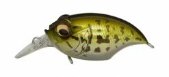 Megabass SR-X Griffon