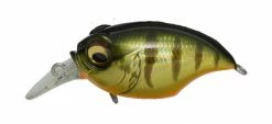 Megabass SR-X Griffon