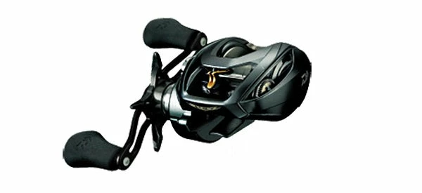 Daiwa Steez A TW Baitcasting Reel