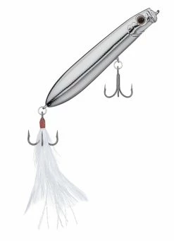 Evergreen USA SB 77.7 Walking