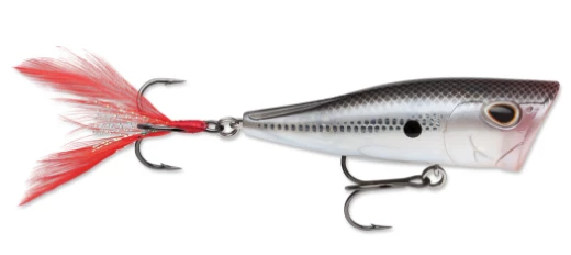 Storm Arashi Cover Pop Poppers