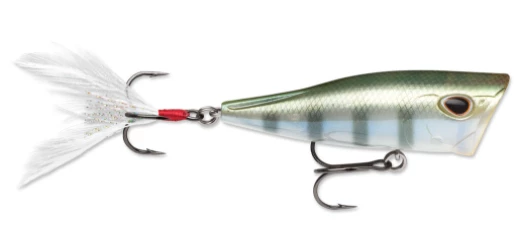 Storm Arashi Cover Pop Poppers