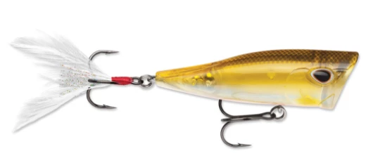 Storm Arashi Cover Pop Poppers