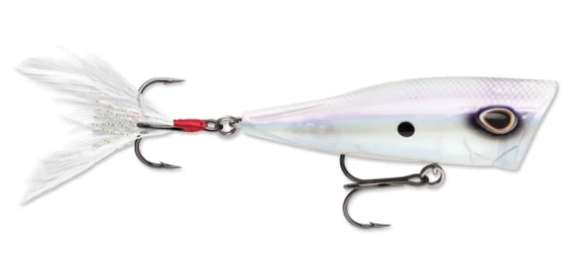 Storm Arashi Cover Pop Poppers