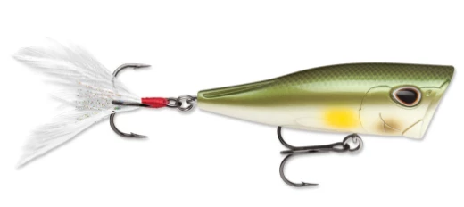 Storm Arashi Cover Pop Poppers