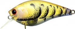 Lucky Craft LC DRS Crankbaits Shallow Diving (0-7ft.)