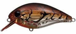 Evergreen International Combat Crank Shallow Hawg Shallow Diving (0-7ft.)