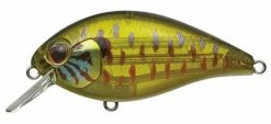 Evergreen International Combat Crank Shallow Hawg Shallow Diving (0-7ft.)