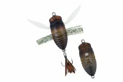 Duo Realis Walking Shinmushi