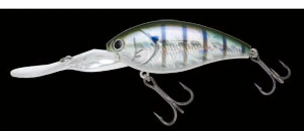 Nories Deep Diving (15 Ft.+) Shot Over 5