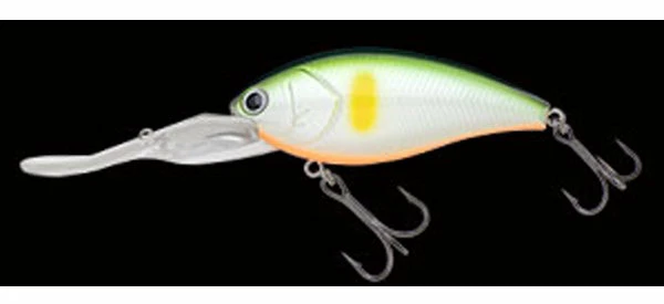 Nories Deep Diving (15 Ft.+) Shot Over 5