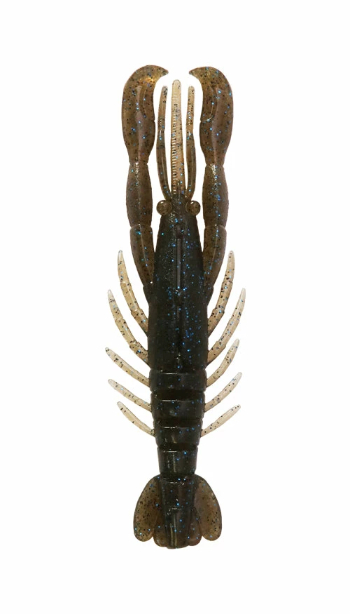 Bottom Up Hurry Shrimp