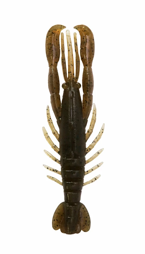 Bottom Up Hurry Shrimp