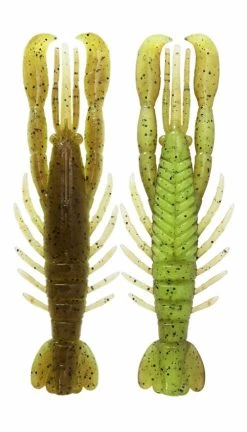 Bottom Up Hurry Shrimp