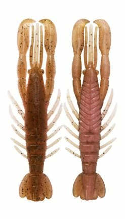 Bottom Up Hurry Shrimp