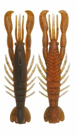 Bottom Up Hurry Shrimp