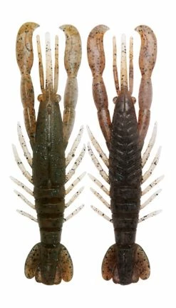 Bottom Up Hurry Shrimp