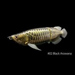 DrancKrazy The Sumeragi Hard Body