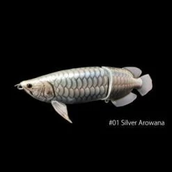 DrancKrazy The Sumeragi Hard Body