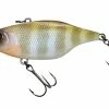 Jackall TN60 Skull Shell Lipless