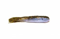 X-Zone Lures X-Tube