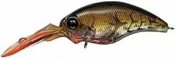 Evergreen USA Shallow Diving (0-7ft.) WH-5 Crankbaits